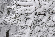 Riverside Park Snow Day 