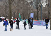 The snow field 