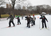 Skiing in the snow field 