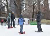 Snowshoeing 