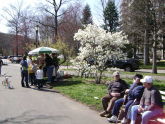 Park Visitors Enjoying a Spring Day 