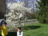 Park Visitors Enjoying a Spring Day 