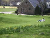 Park Visitors Enjoying a Spring Day 