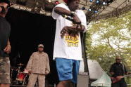 Public Enemy at SummerStage in Central Park 