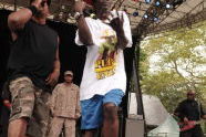 Public Enemy at SummerStage in Central Park 