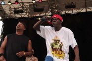 Public Enemy at SummerStage in Central Park 