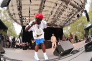 Public Enemy at SummerStage in Central Park 