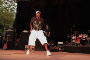 Public Enemy at SummerStage in Central Park 