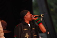 Public Enemy at SummerStage in Central Park 