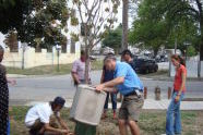 Staten Island Tree Watering 