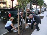 Queens Tree Watering 