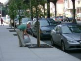 Queens Tree Watering 