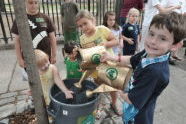 Brooklyn Tree Watering 