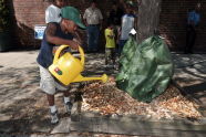 Bronx Tree Watering 