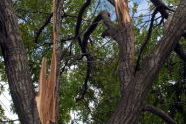 September 2010 Storm Damage 