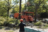 September 2010 Storm Damage 