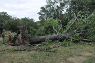 September 2010 Storm Damage 