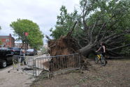 September 2010 Storm Damage 