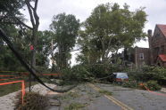 September 2010 Storm Damage 