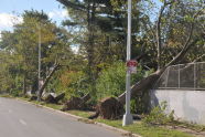 September 2010 Storm Damage 