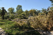 Maria Hernandez Park Storm Damage 