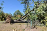 Maria Hernandez Park Storm Damage 