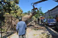 Maria Hernandez Park Storm Damage 