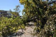 Maria Hernandez Park Storm Damage 