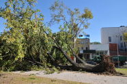 Maria Hernandez Park Storm Damage 