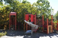 Maria Hernandez Park Storm Damage 