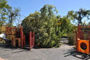 Maria Hernandez Park Storm Damage 