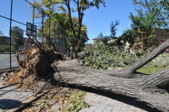 Maria Hernandez Park Storm Damage 