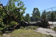 Maria Hernandez Park Storm Damage 