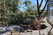 Maria Hernandez Park Storm Damage 