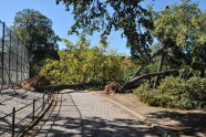 Maria Hernandez Park Storm Damage 