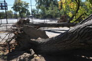 Maria Hernandez Park Storm Damage 