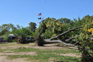 Maria Hernandez Park Storm Damage 