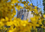 Spring at Fort Tryon Park 