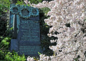 Spring at Fort Tryon Park 