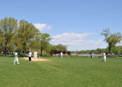 Baisley Pond Park Cricket Pitch 