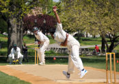 Baisley Pond Park Cricket Pitch 