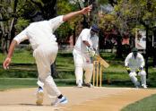 Baisley Pond Park Cricket Pitch 