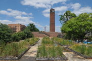 A Green Roof View of Lyons Pool 