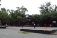 Brower Park basketball court 