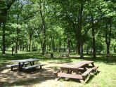 Picnic Area at Brookville Park 