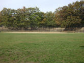 Cypress Hills Playground Baseball Field 