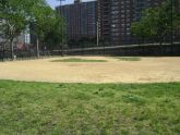 Col. Young Playground Baseball Field 