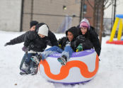 2nd Annual Bronx Winterfest 