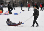 2nd Annual Bronx Winterfest 