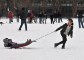 2nd Annual Bronx Winterfest 